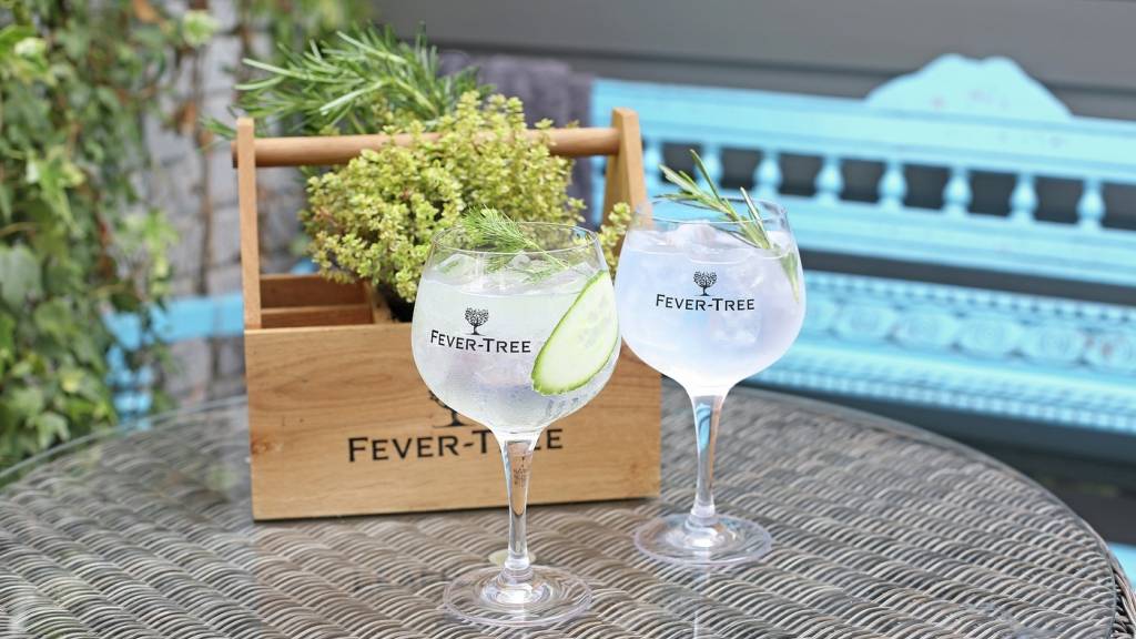 Fever Tree GT Large