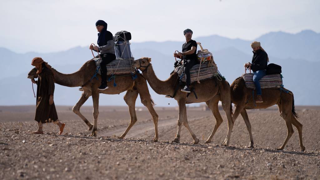 GGF camel ride 2019 2000px