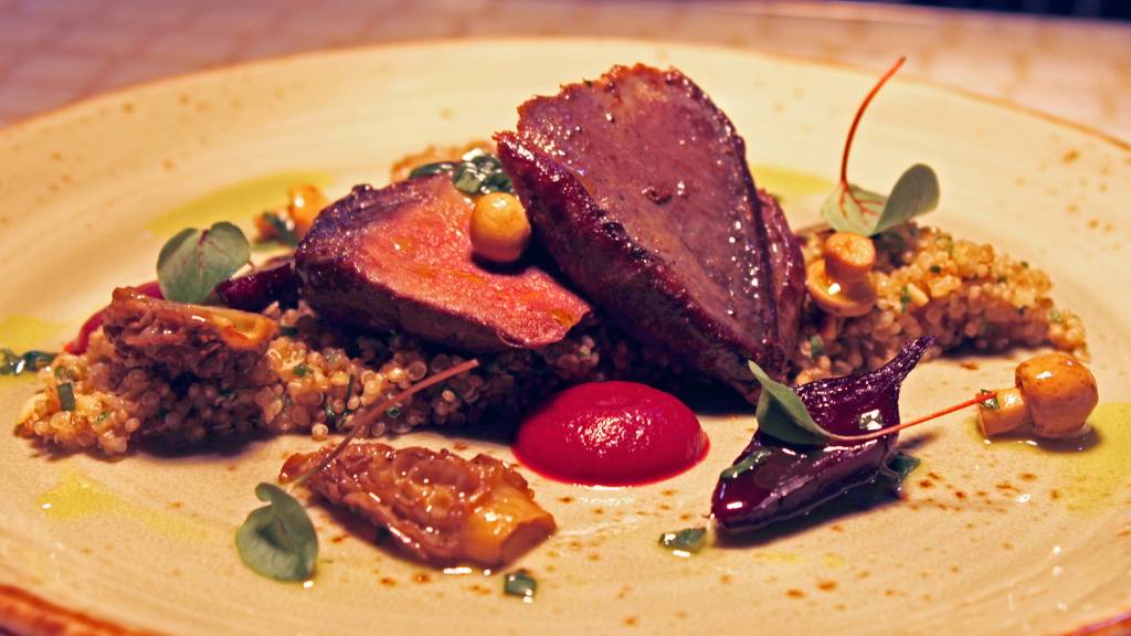 YA pan fried wood pigeon