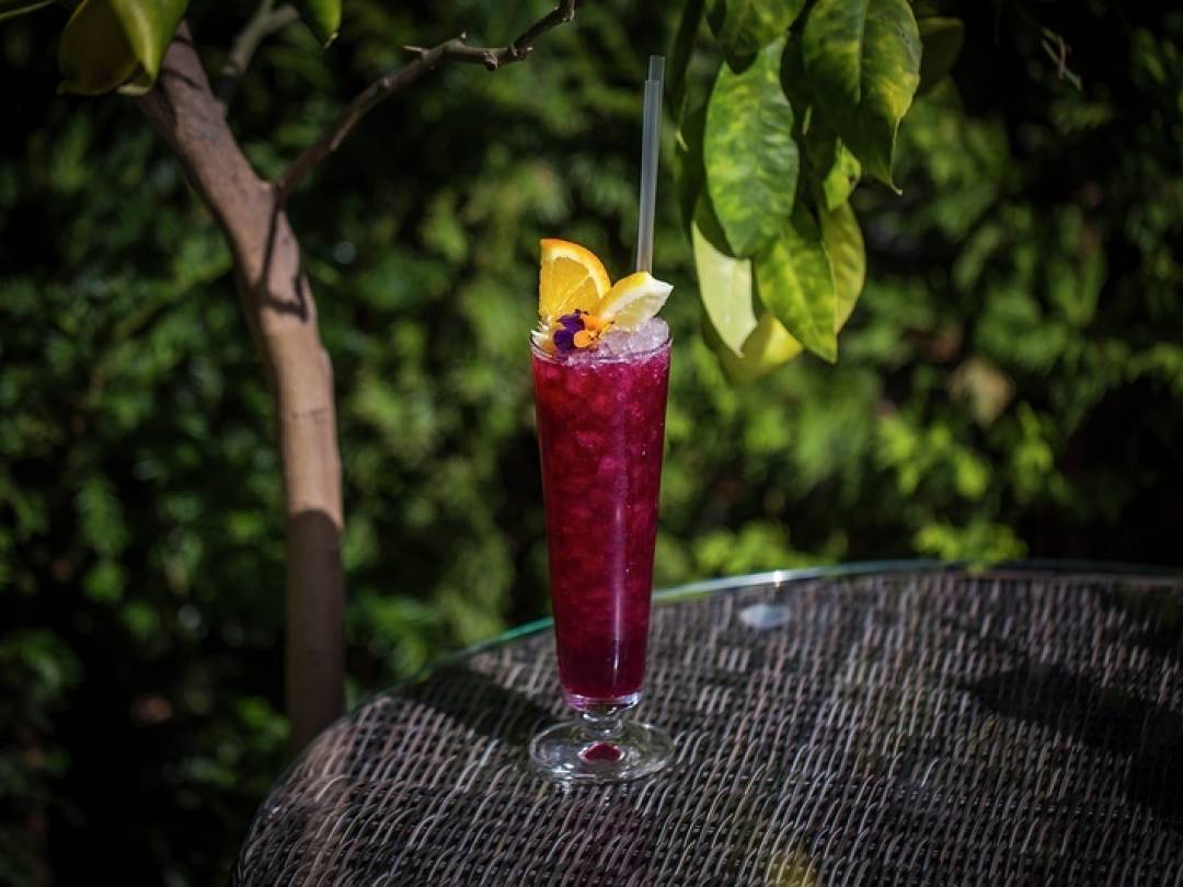 Claret Cup Cocktail Recipe