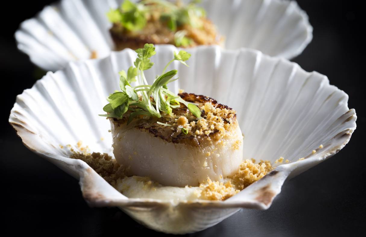 BSK Seared scallops celeric puree chicken skin crumble celery cress apple 101016 2