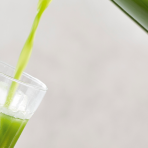 Green Juice | Recipes | Gordon Ramsay Restaurants