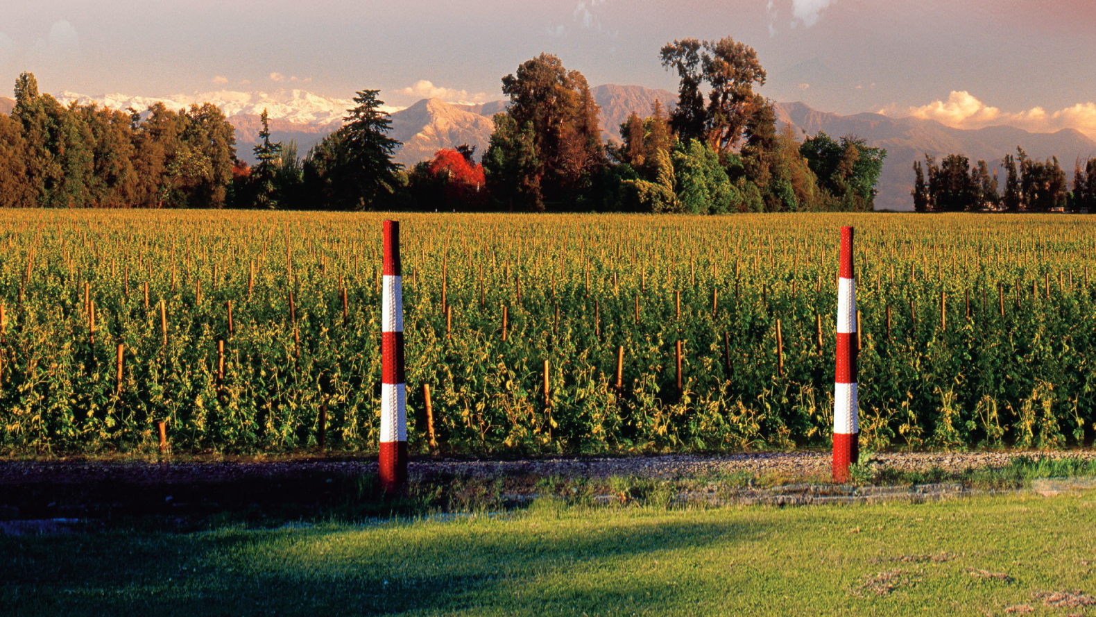 achadwick vineyard r1890 winedinner