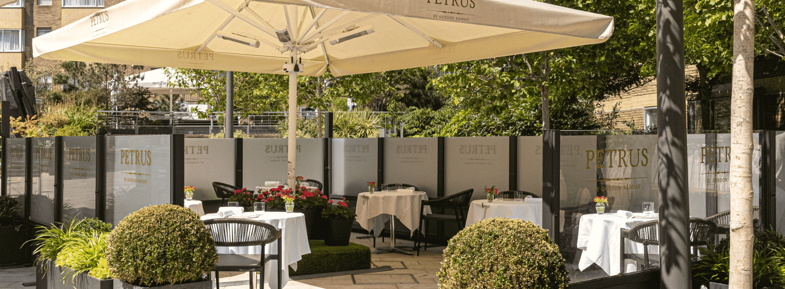 Petrus Terrace 210623