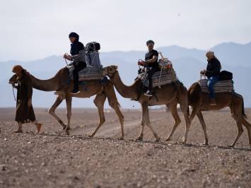 GGF camel ride 2019 2000px