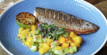 MG Roasted Seabream Mango and Cucumber