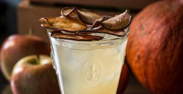 vb760090 Apple Pie shrub 1