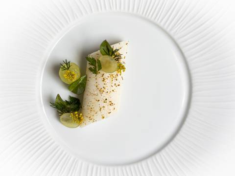 GRR 1890 2023 Dish 6 JG5JGM