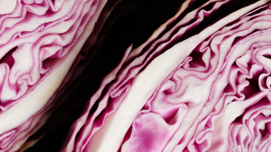 GRR RGR SEPTEMBER 2026 FOOD AUTUMN INGREDIENTS PRODUCE RED CABBAGE 2 dy8txs 28.9.26