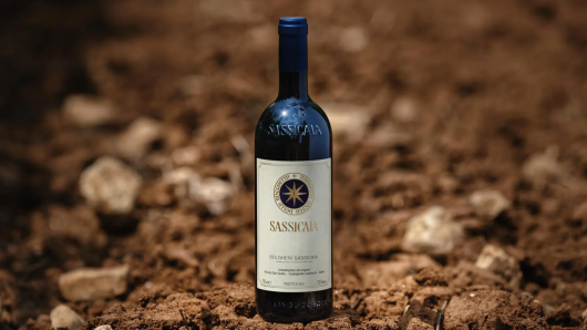Sassicaia and terroir 24.7.26