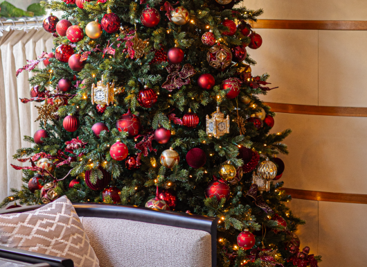 GRR PETRUS NOVEMBER 2025 FESTIVE CHRISTMAS TREES wvteya rvh7qh 9.10.26