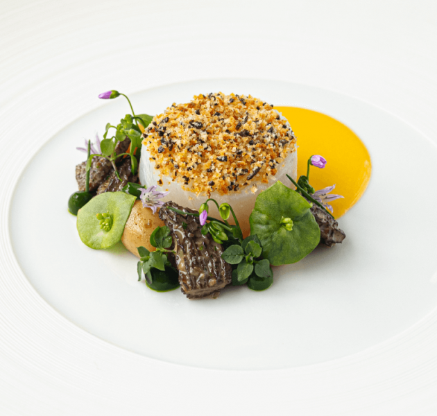 GRR RGR APRIL 2025 FOOD COD12 ltcish mobile 010525 1
