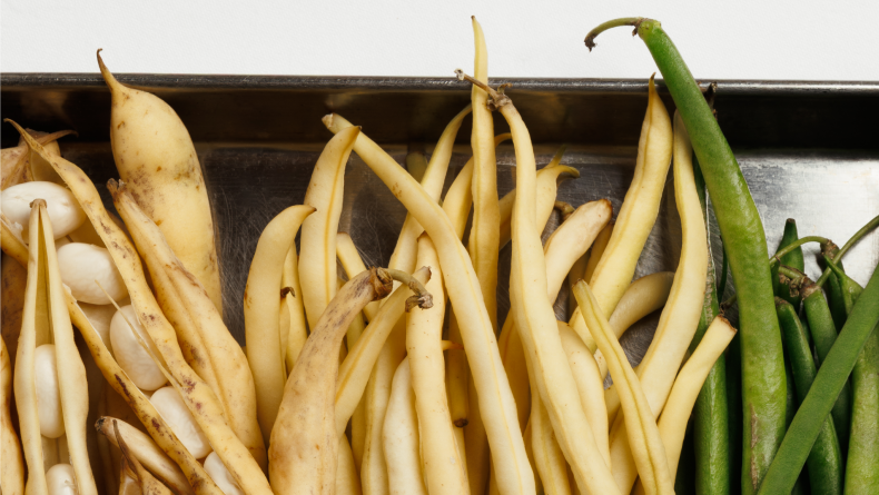 GRR 1890 SAVOY SEPTEMBER 2026 FOOD AUTUMN INGREDIENTS PRODUCE BEANS 4 ca37iu 18.9.26