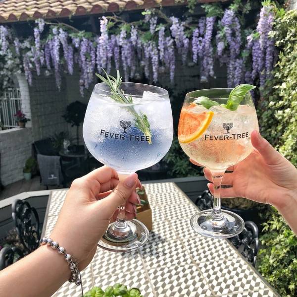 Everything You Need to know about Gin (and Tonic) Gordon Ramsay