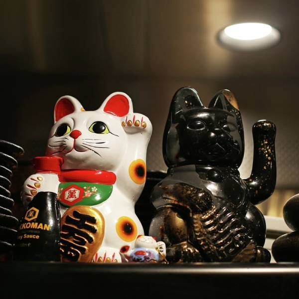 luckycats