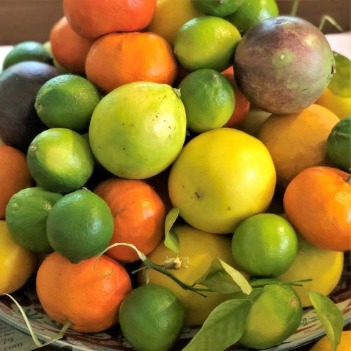 uncharted hawaii citrus bounty small square