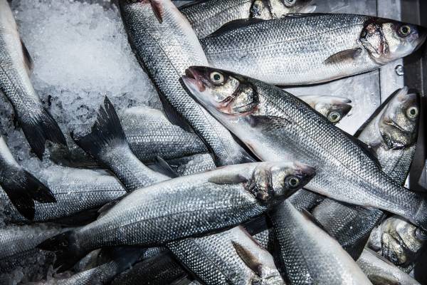 FishMarket